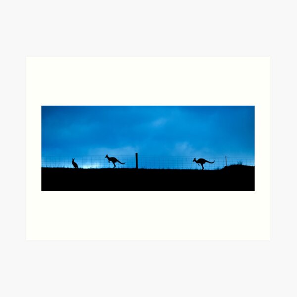 Sunday Arvo just before Dinner Art Print