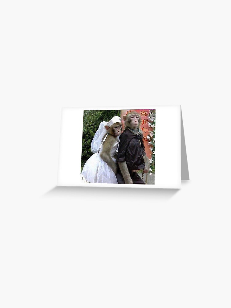 UNITED ARROWS★UA MONKEY ♡wedding ♡ Our pride, our joy - our special bandicoot boy! ✨ “VG