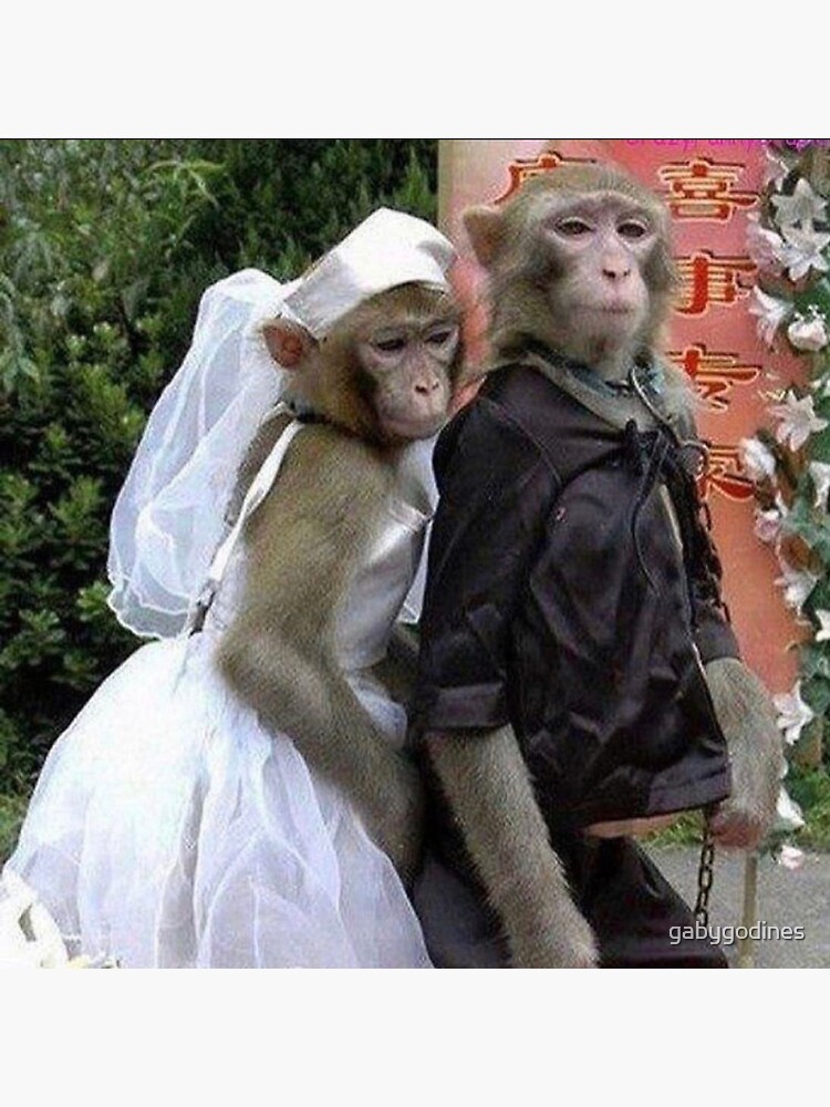 UNITED ARROWS★UA MONKEY ♡wedding ♡ UNITED ARROWS（ユナイテッドアローズ）の「UA WEDDINGモンキー