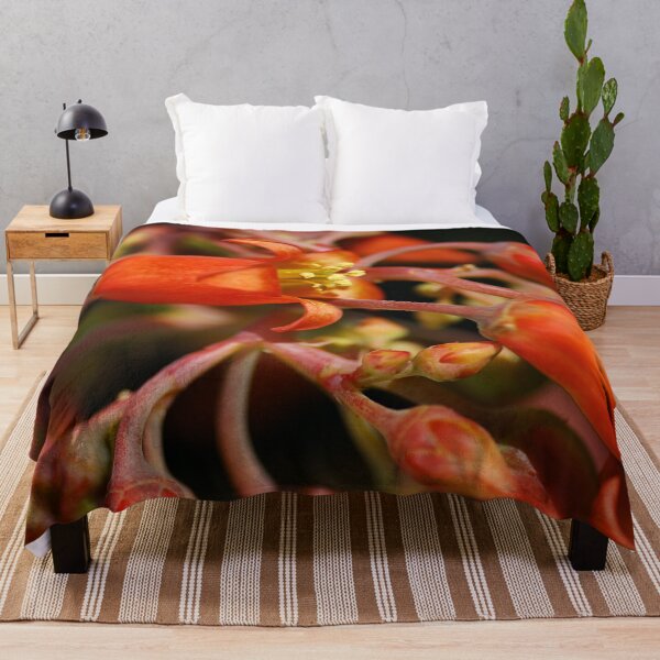 Item preview, Pigs Ear Flower Cotyledon Macrantha designed and sold by Joy Watson - Natural Light Photography .