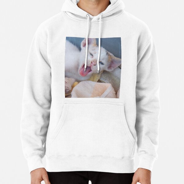toddler Pullover Hoodie