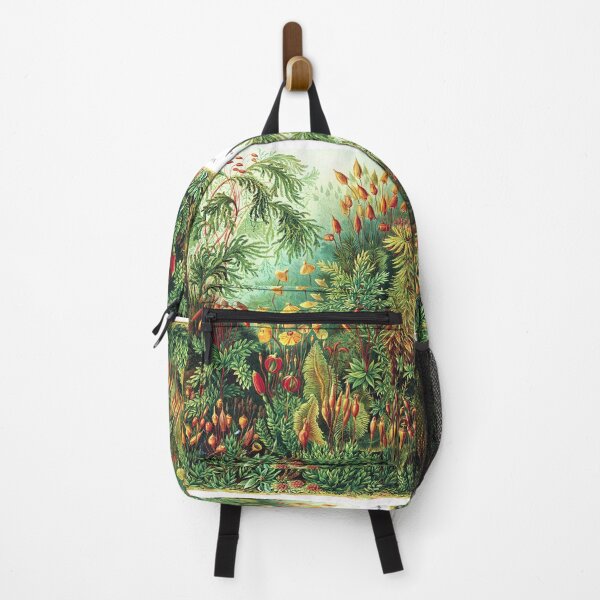 Item preview, Ernst Haeckel - Muscinae (mosses) - Vintage Botanical illustration designed and sold by DejaVuStudio.
