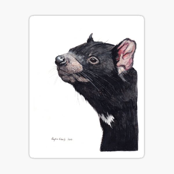 Tasmanian Devil Sticker
