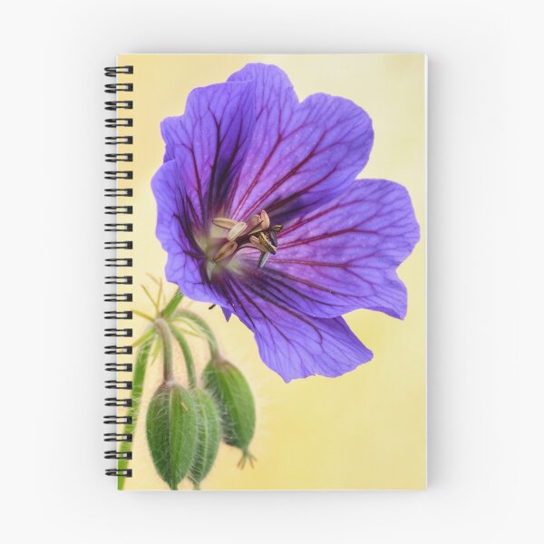 Item preview,  Cranesbill Blue. designed and sold by John Ray.