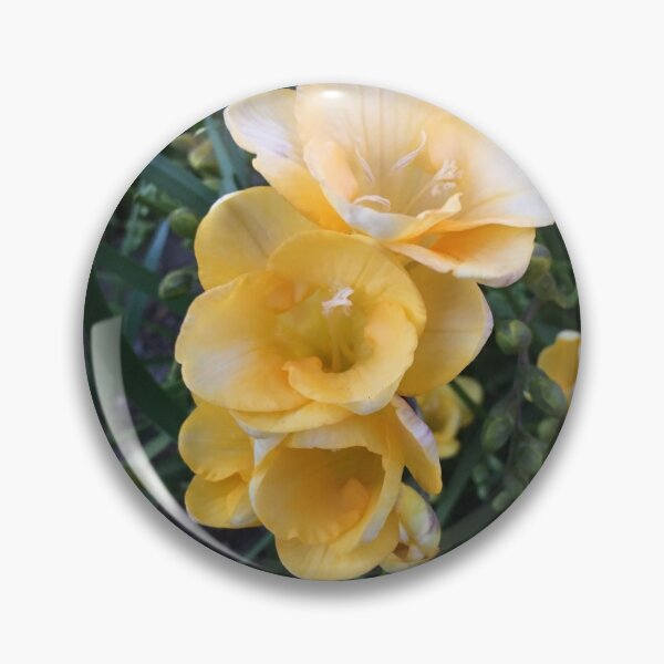 Item preview, Freesias designed and sold by rileyo.