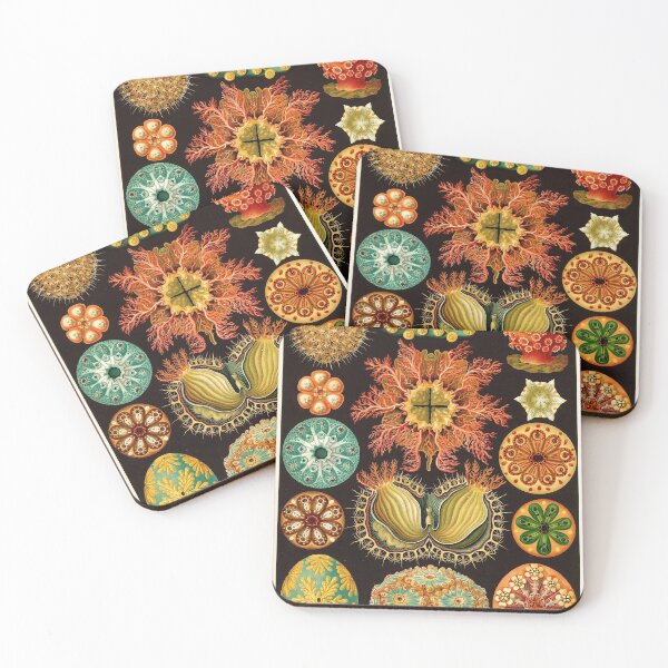 Item preview, Ernst Haeckel - Ascidiae (Sea Squirts) - Vintage Botanical illustration designed and sold by DejaVuStudio.