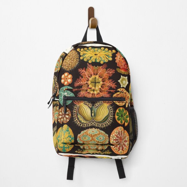 Item preview, Ernst Haeckel - Ascidiae (Sea Squirts) - Vintage Botanical illustration designed and sold by DejaVuStudio.