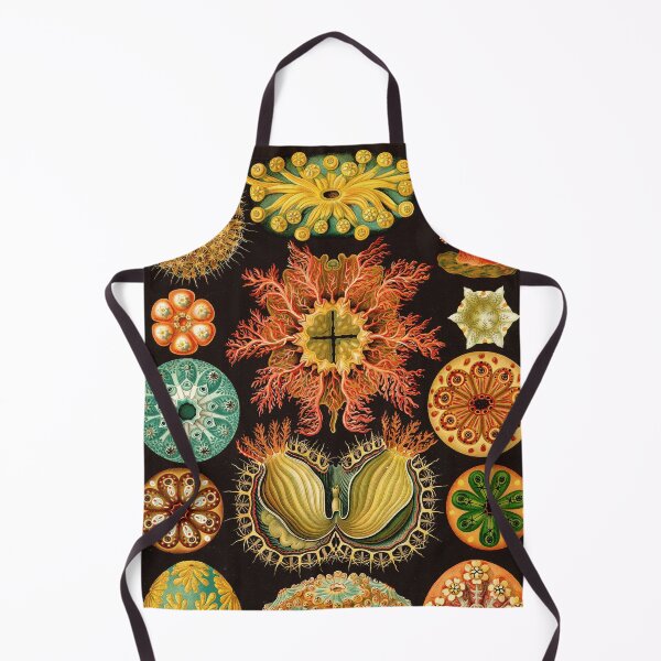 Item preview, Ernst Haeckel - Ascidiae (Sea Squirts) - Vintage Botanical illustration designed and sold by DejaVuStudio.