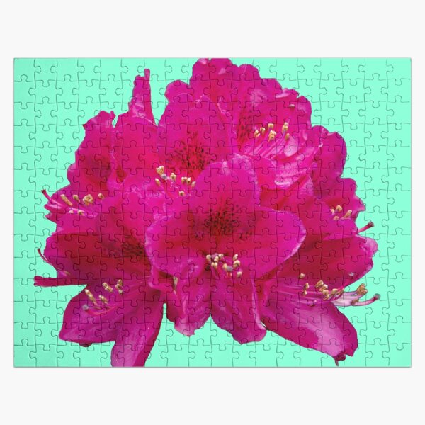 Rhododendron on an aqua menthe background Jigsaw Puzzle
