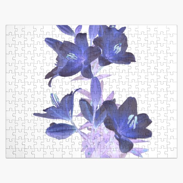 Lilies on a White Background Jigsaw Puzzle