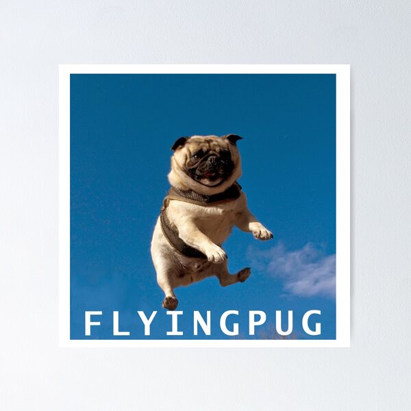 Pugs might fly wall art best sale