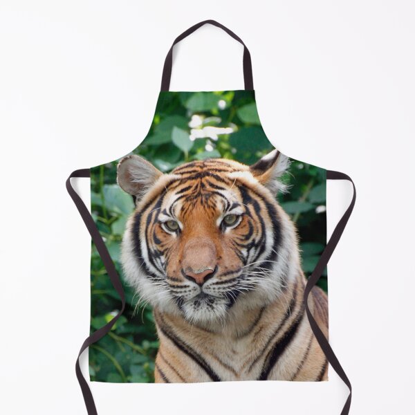 Item preview, Tiger 001 designed and sold by JAMFoto.