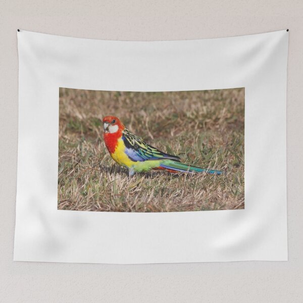 Item preview, Eastern Rosella - Platycercus eximius designed and sold by Paul Piko.