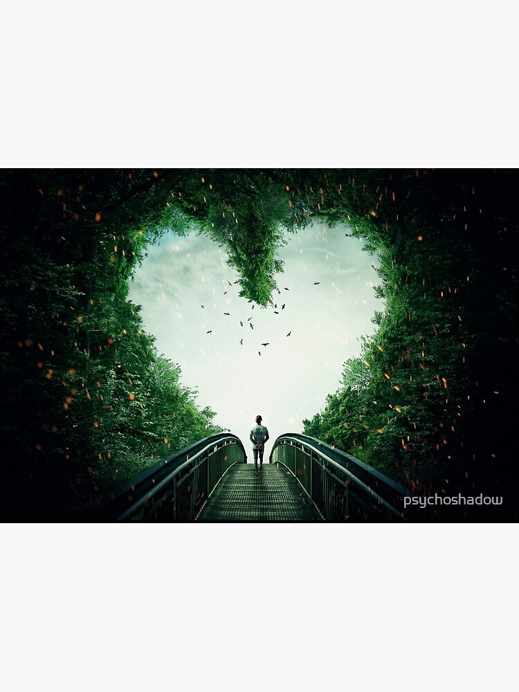 follow your heart by psychoshadow