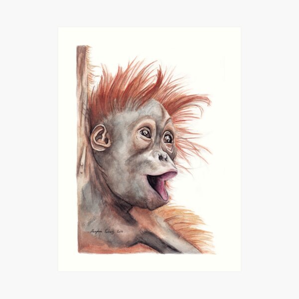 Orangutan Art Print