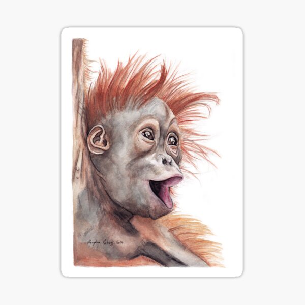 Orangutan Sticker