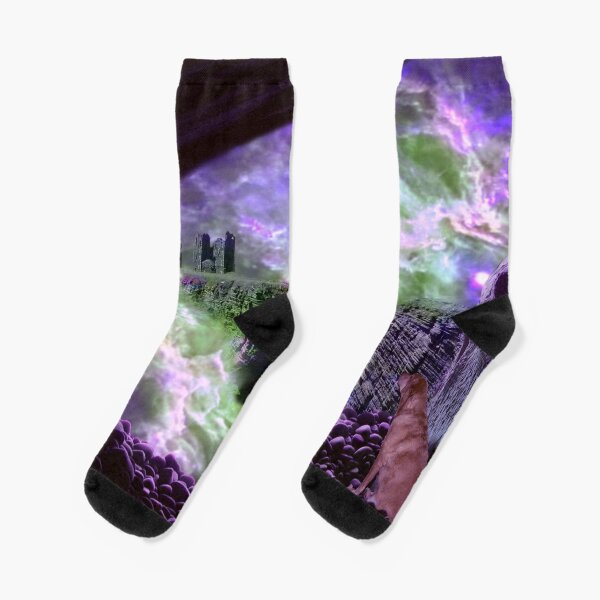 Earth Storm as Willow Watches Socks