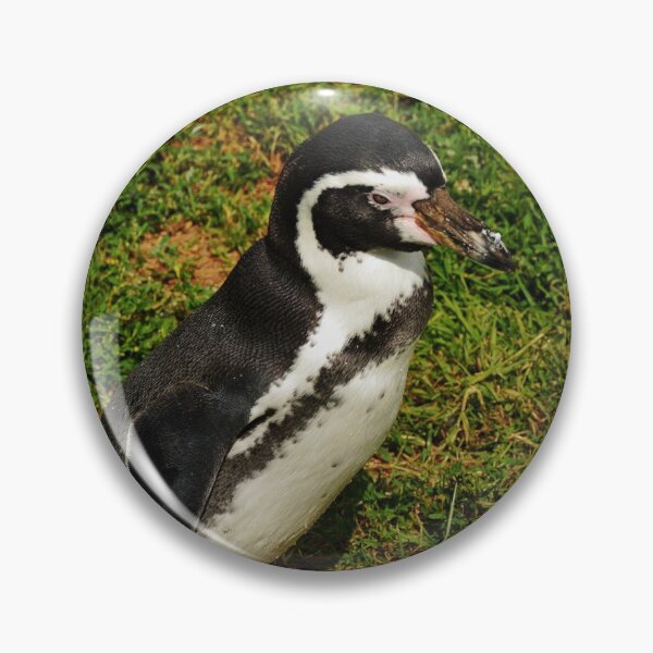 Item preview, The Humboldt Penguin designed and sold by Frank  Irwin.