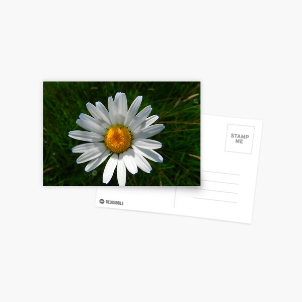 Isnt nature breathtaking Postcard