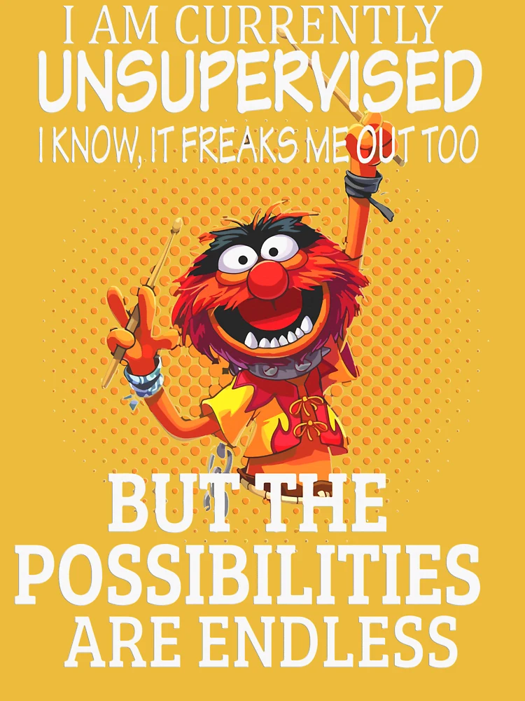 I Am Currently Unsupervised I Know, It Freaks Me Out Too But The