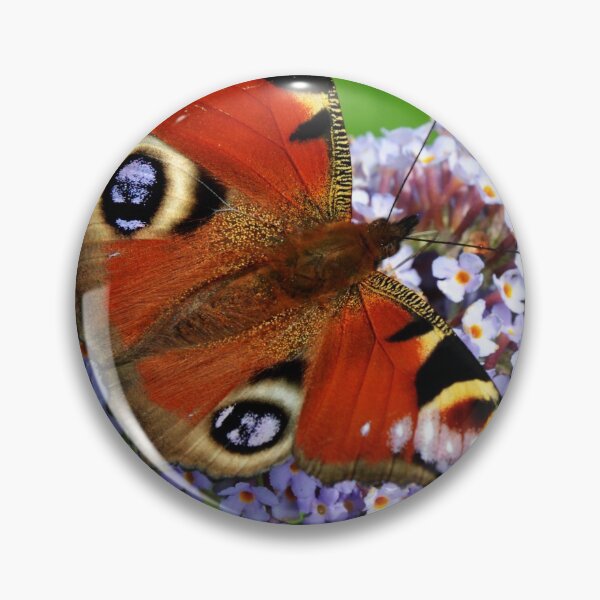 Item preview, The Peacock Butterfly designed and sold by Frank Irwin.