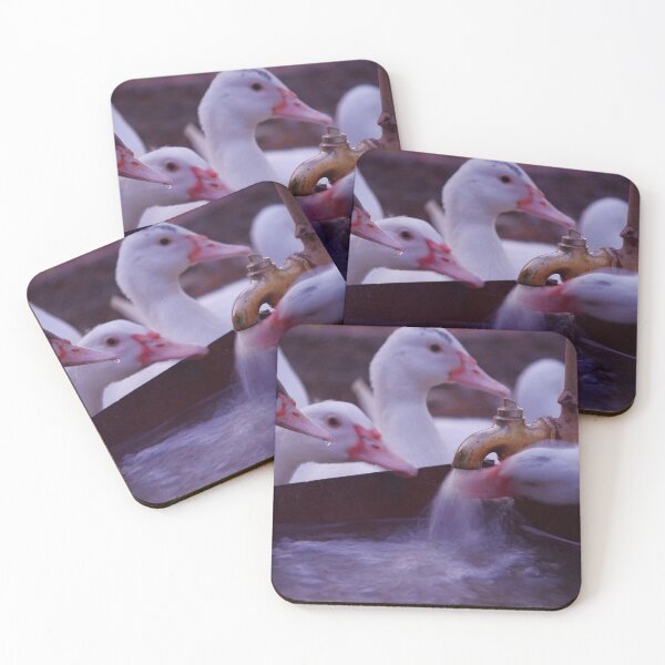 Item preview, Mingara Ducks designed and sold by Penny Kittel.