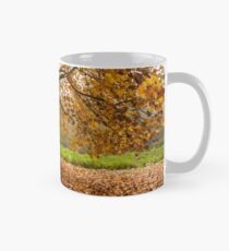 Come and seek comfort Mug