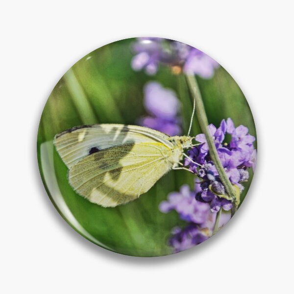 Item preview, Green Veined white butterfly designed and sold by Frank  Irwin.