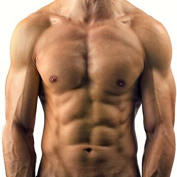 Six Pack Abs png images