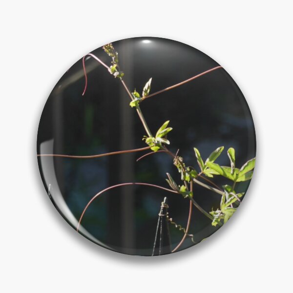 Item preview, Searching designed and sold by Paul Pasco.