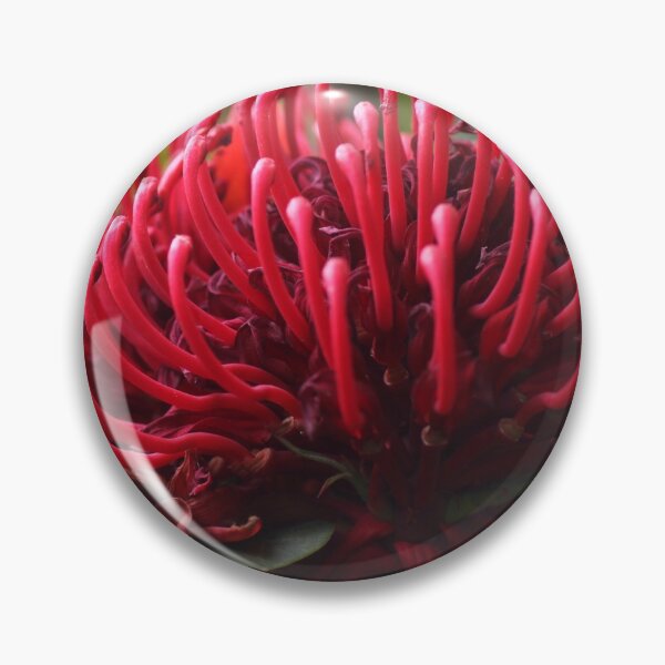 Item preview, Waratah designed and sold by jarrahimages.