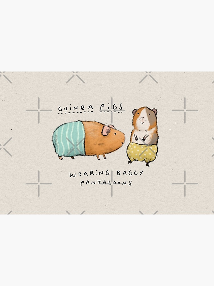 Guinea Pigs Wearing Baggy Pantaloons by SophieCorrigan