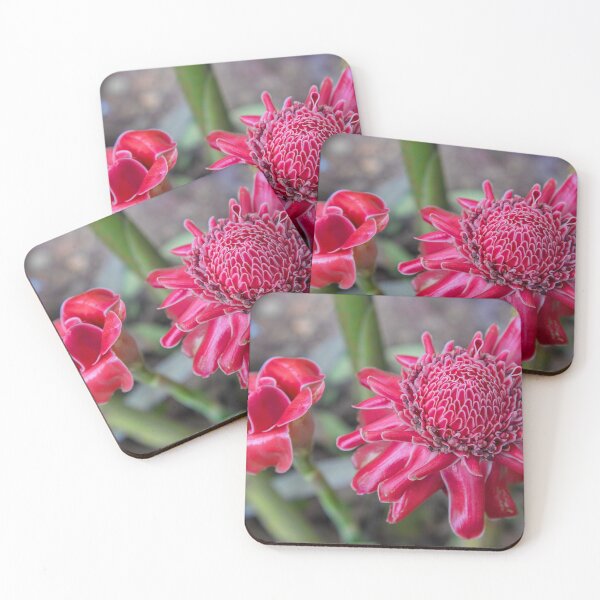 Item preview, Laos. Kuang Si Waterfalls. Exotic Torch Ginger Flowers. designed and sold by vadim19.