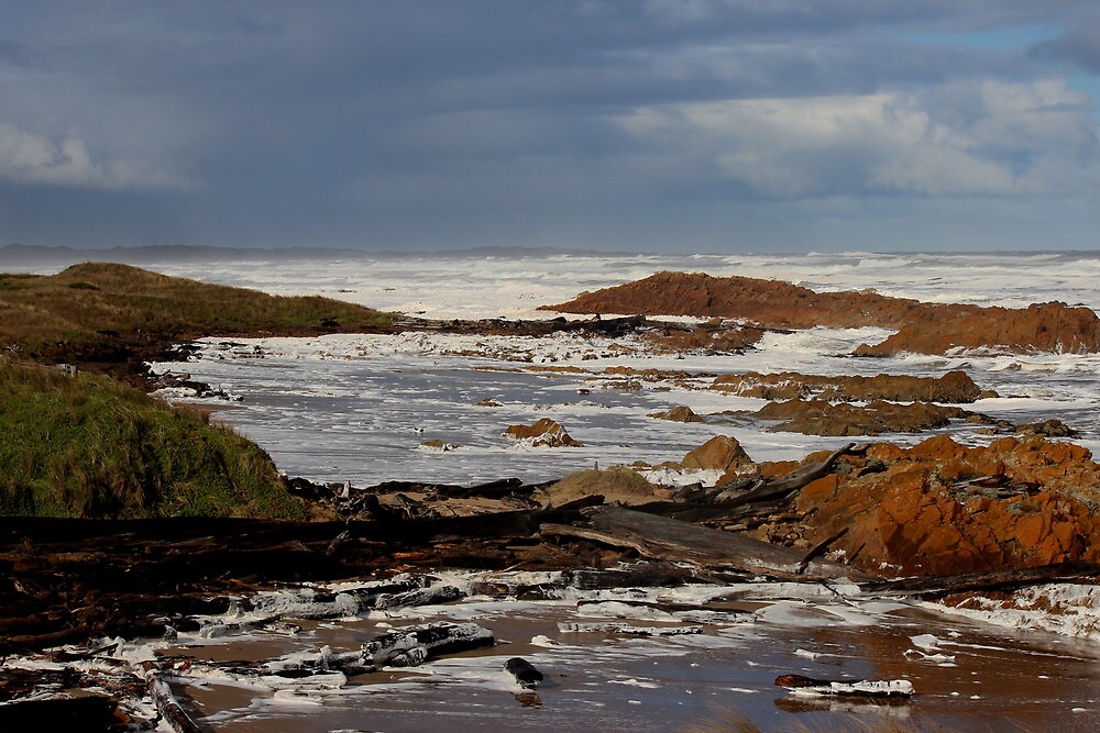 "Arthur River Tasmania" by Gaylene Norton Redbubble