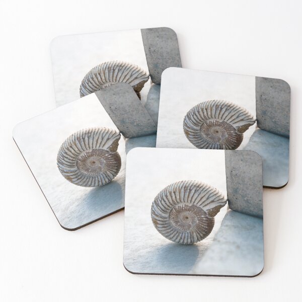 Item preview, Fossil And Stone  designed and sold by Elena Ray.