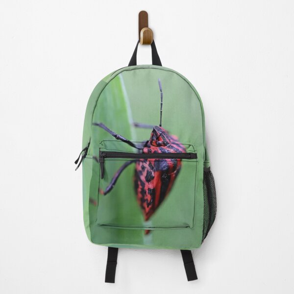 Item preview, Macro Black-red striped bug (Minstrel bug, Graphosoma lineatum) on green leaf of iris - Funny Insects Entomology Gift designed and sold by r-silver.