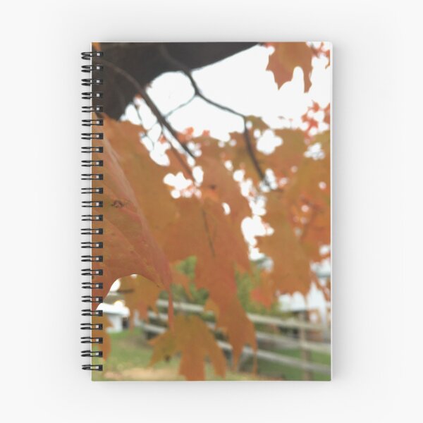 Item preview, Autumn leaves designed and sold by chiarraigrrl.