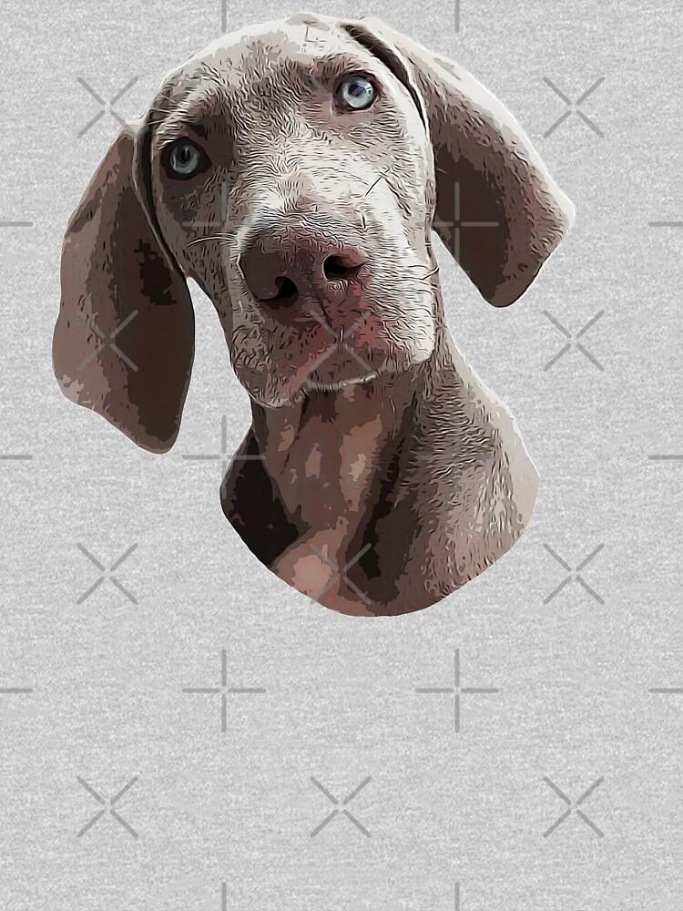 Weimaraner best sale x kelpie