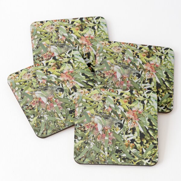 Item preview, Eucalyptus Tree with camouflaged Noisy Miner designed and sold by imaginethis.