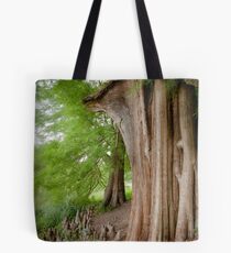 Under the swamp cypresses Tote Bag