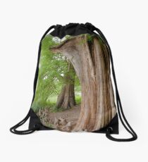 Under the swamp cypresses Drawstring Bag