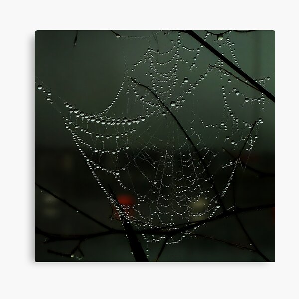 Item preview, Spider web designed and sold by sunshine65.
