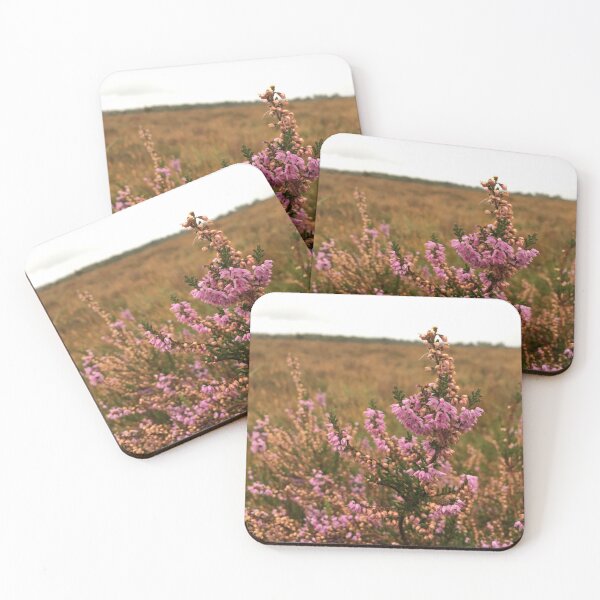 Item preview, A walk in Clara Bog designed and sold by chiarraigrrl.