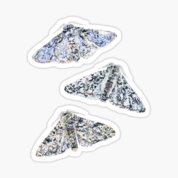 Item preview, Peppered Moths designed and sold by beccaboyce.