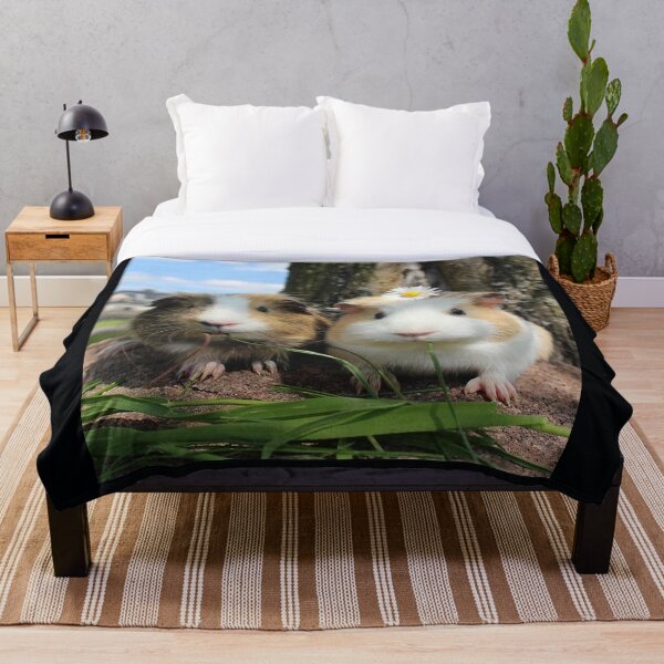 Item preview,  también conocido como cavy o cavy doméstico designed and sold by Coolstuff4you71.