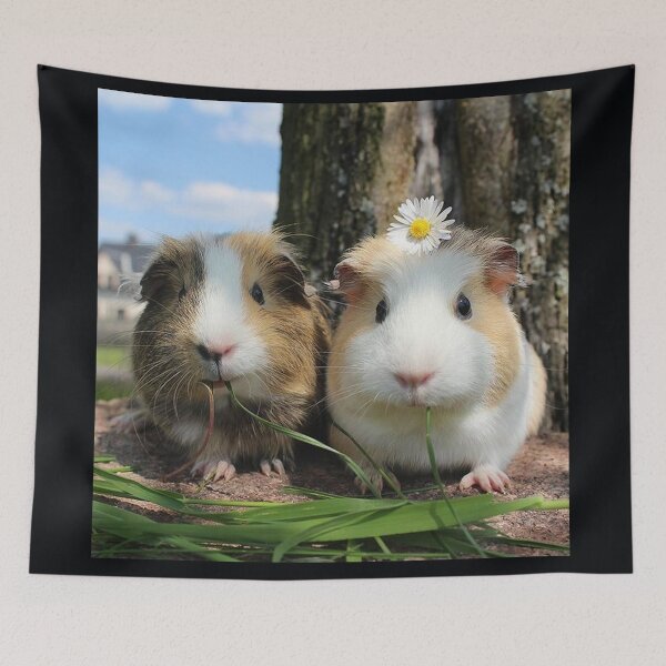 Artikelvorschau,  auch als Meerschweinchen oder Hausschweinchen bekannt entworfen und verkauft von Coolstuff4you71.