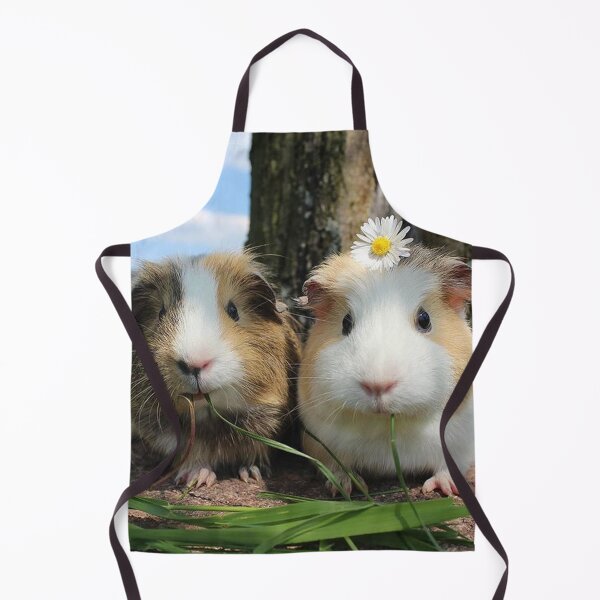 Guinea Pig – Cavy Collection – Model 01 Apron