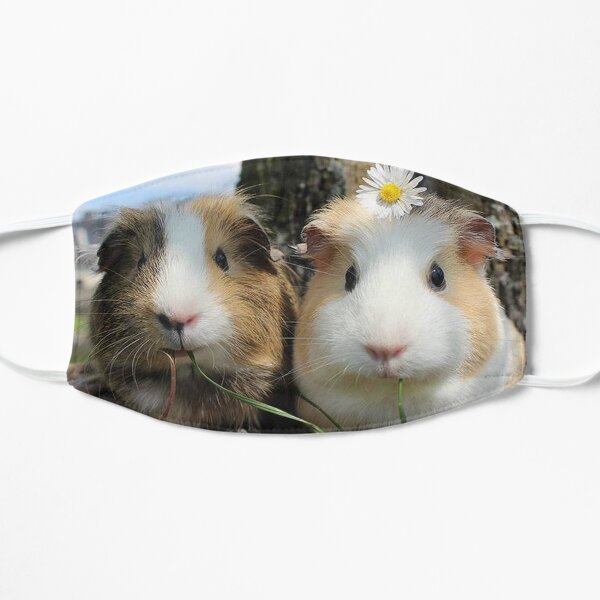 Guinea Pig – Cavy Collection – Model 01 Flat Mask