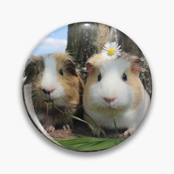 Item preview, Guinea Pig – Cavy Collection – Model 01 designed and sold by Coolstuff4you71.