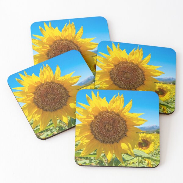 Item preview, Sunflowers from the beautiful island of Mallorca designed and sold by PollensaWallArt.